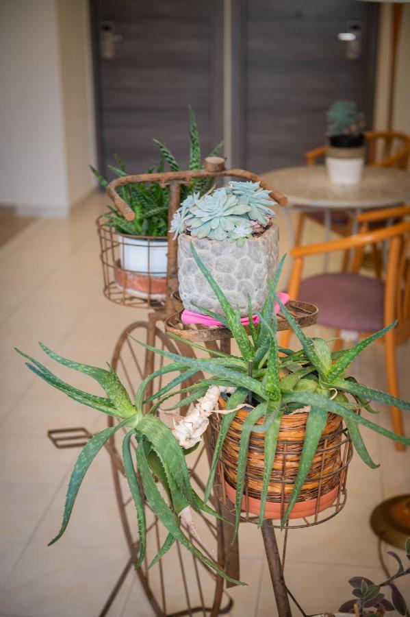 Diros Hotel Athens Ngoại thất bức ảnh